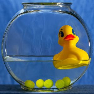 el pensamiento lateral