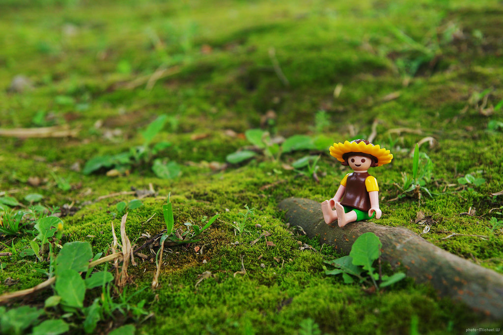 ideas para la búsqueda de empleo