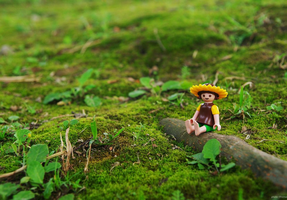 ideas para la búsqueda de empleo