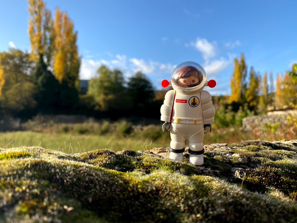 libros sobre empleo para la cuarentena plandempleo